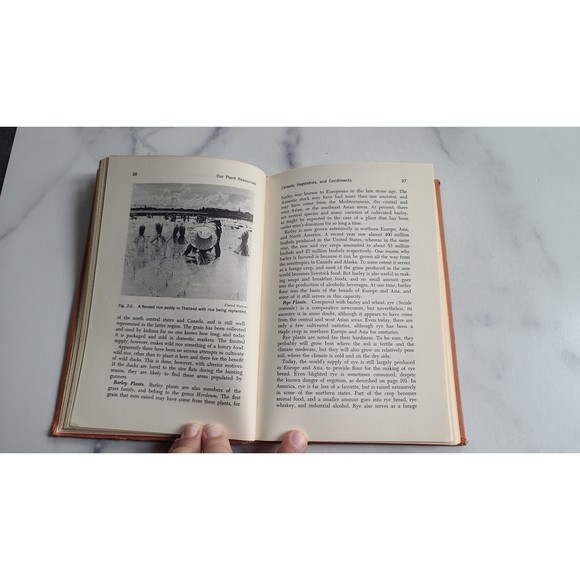 Our Plant Resources - Picture 7 of 10